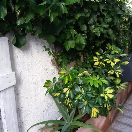 Bilocale Pascoli Holiday home *